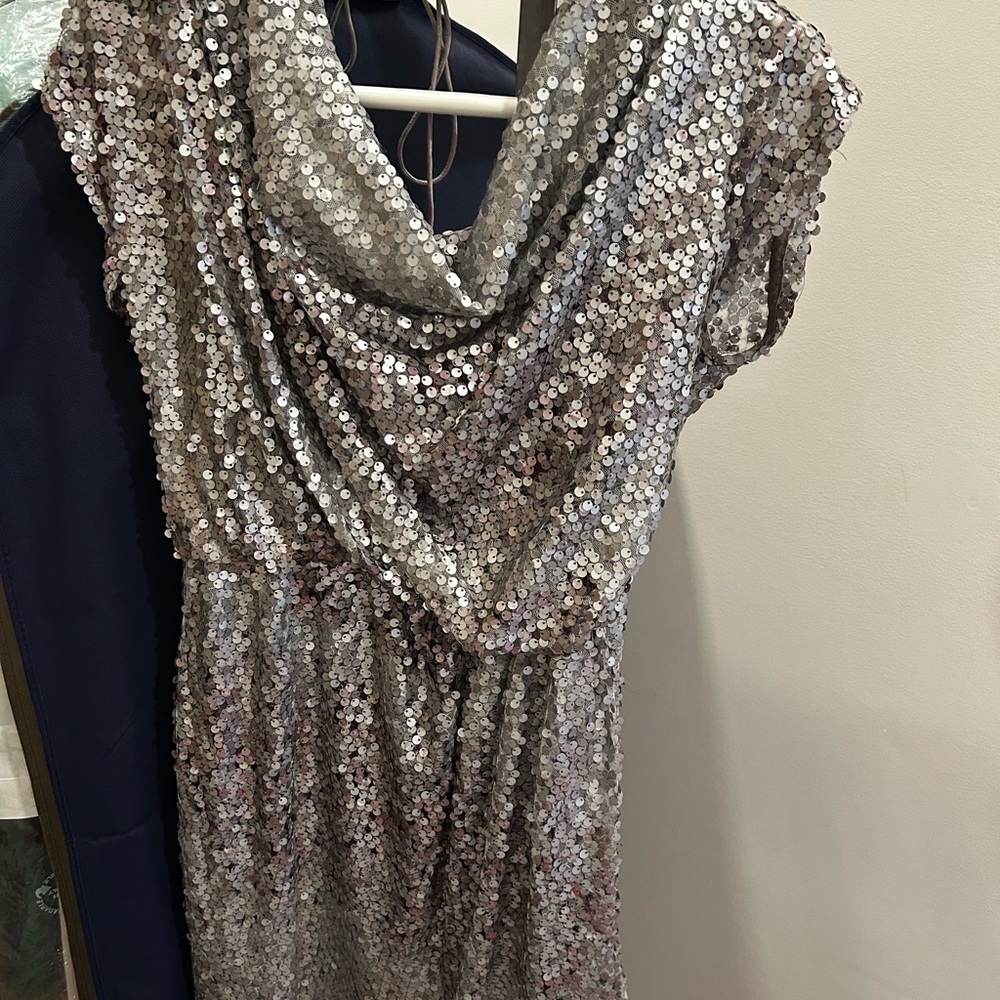 Elegant Silver Sequin Dress